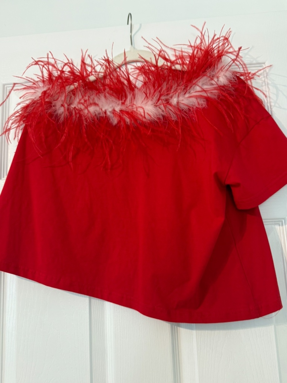 QUEEN OF SPARKLES Red Top with Feather Trim